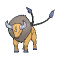 Image for #128 - Tauros