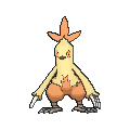Image for #256 - Combusken